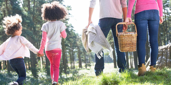PACKING THE PERFECT PICNIC BASKET