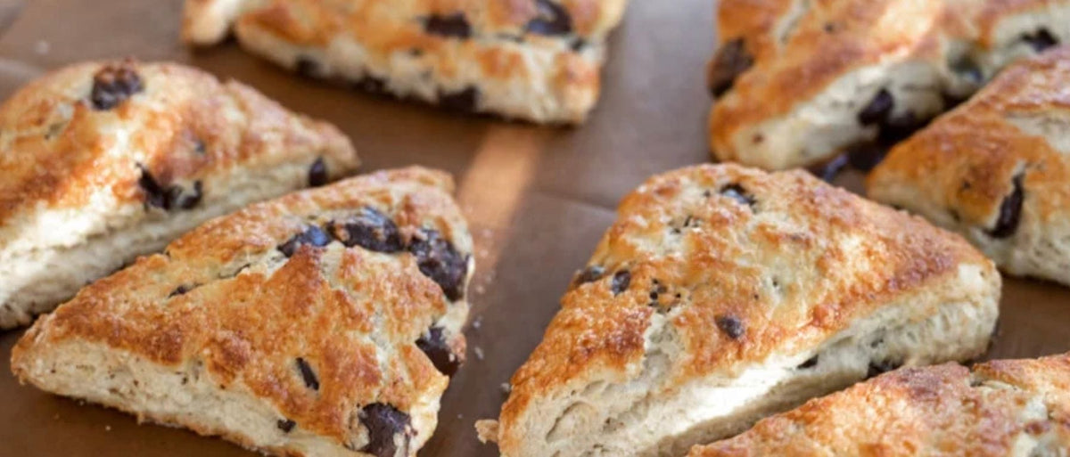 Maple Pecan Scones with Chocolate Chunks
