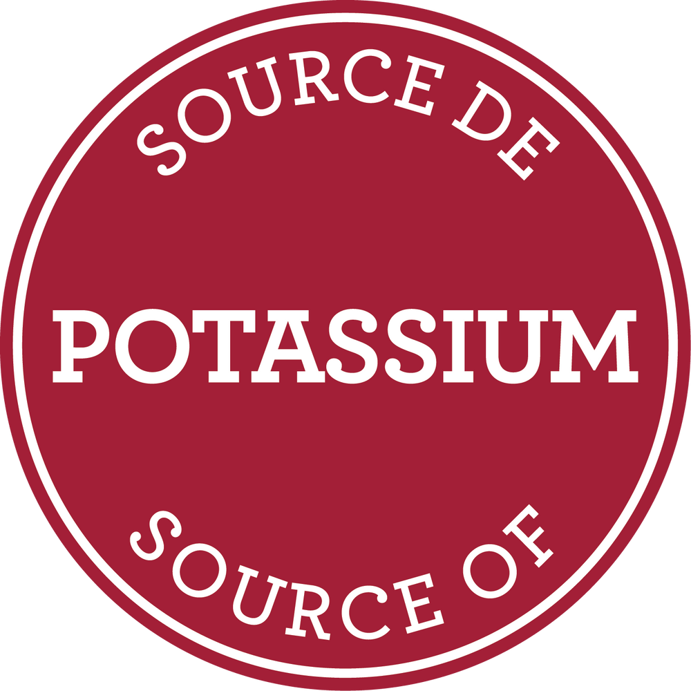 Dry Roasted Soudani Peanuts - Salted (454g) - Bassé Nuts