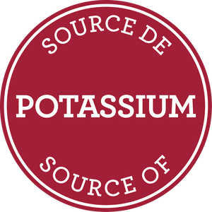 Pumpkin Seeds In Shell - Semi Salted (454g) - Bassé Nuts